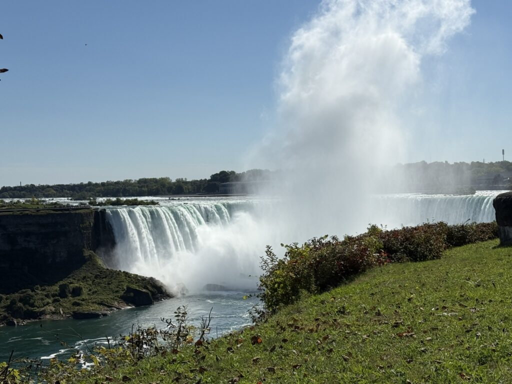 img 2912 copy