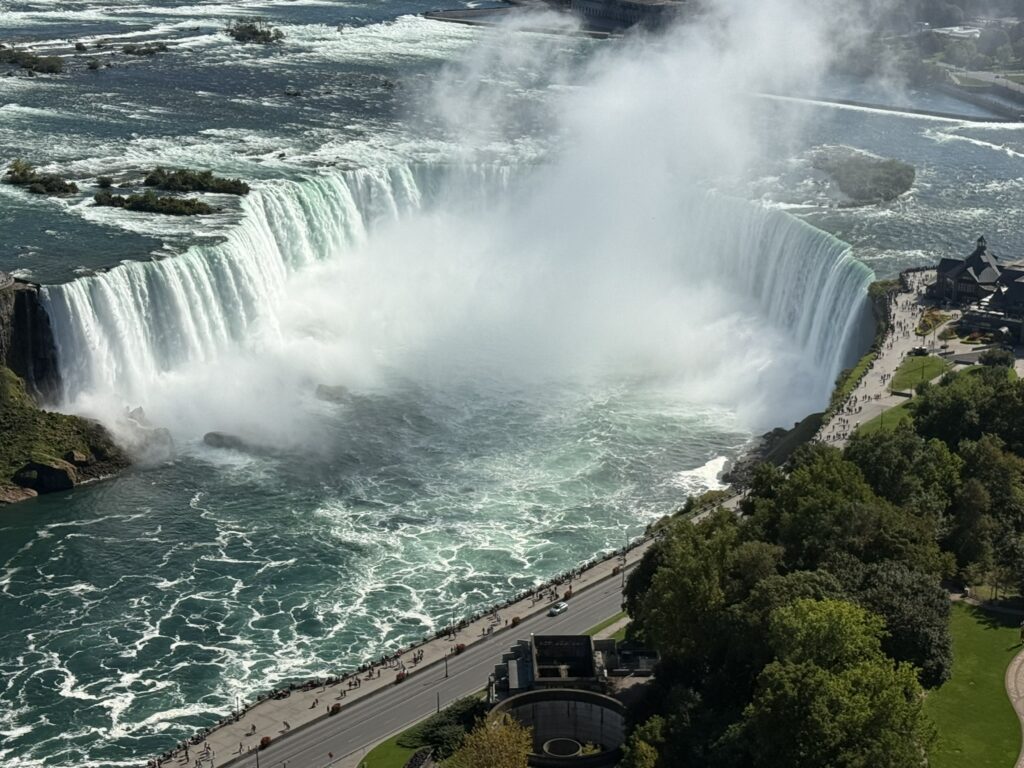 img 2943 copy