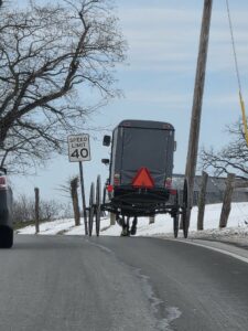 Home amish buggy